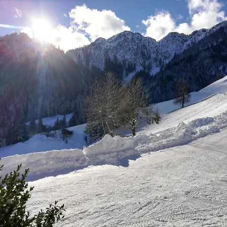 펜션 Tradlhof Thierbach