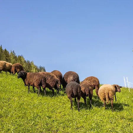 Tradlhof Hébergement de vacances *