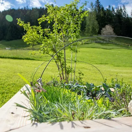 펜션 Tradlhof Thierbach