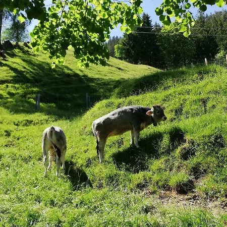 Hébergement de vacances Tradlhof *