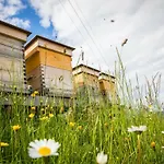 Tradlhof *