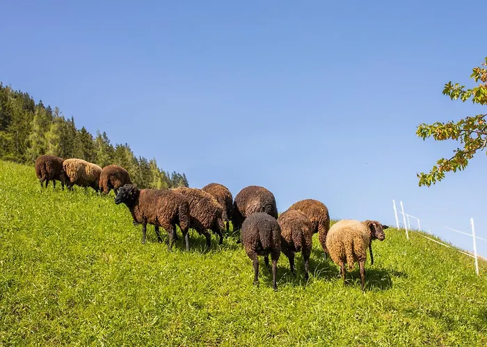 Tradlhof Casa de Férias *