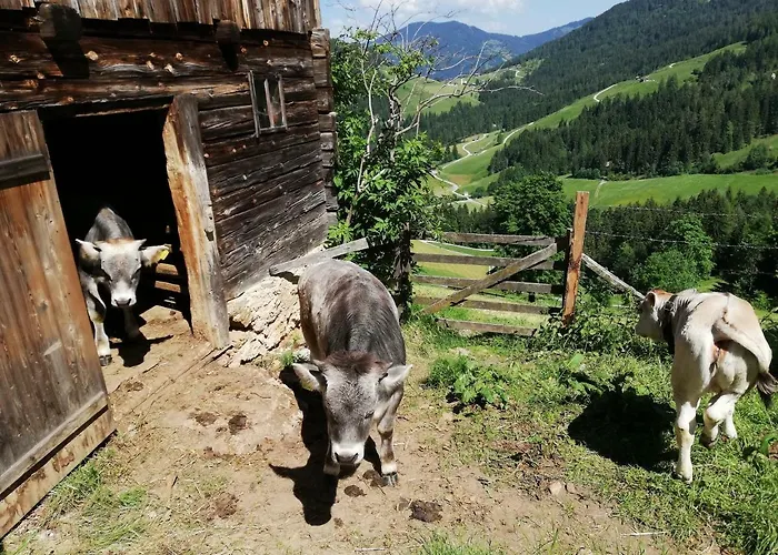 Casa de Férias Tradlhof