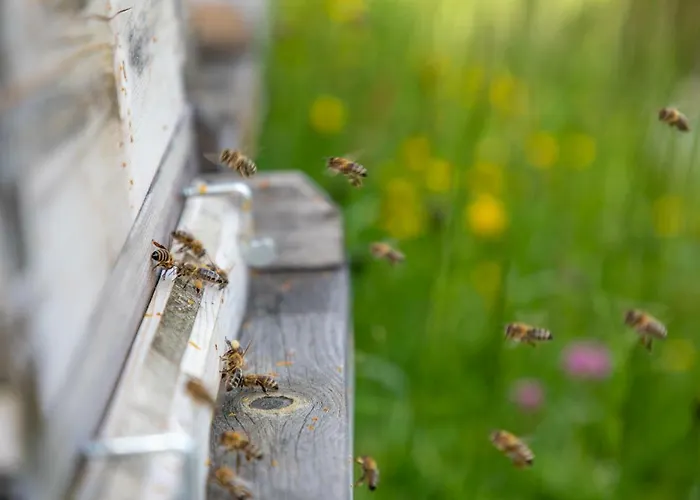Tradlhof Casa de Férias Thierbach