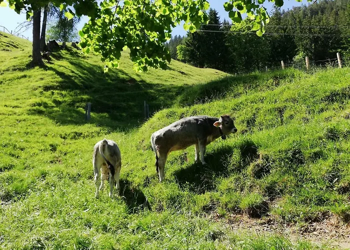 Casa de Férias Tradlhof *